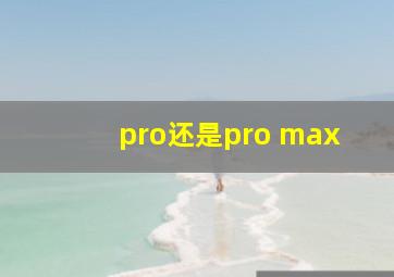 pro还是pro max